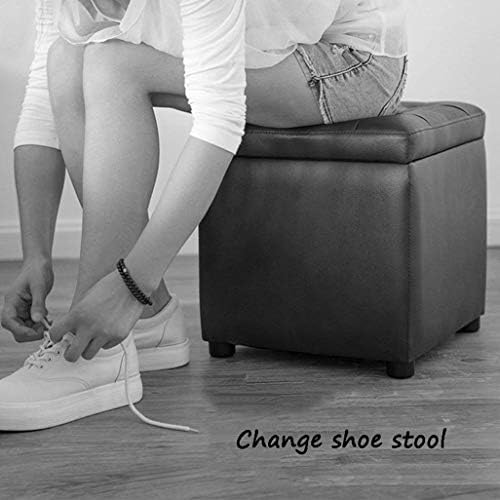 צואה פשוטה גנרית, PVC Multifunction Change Shoe Bench Box Cox