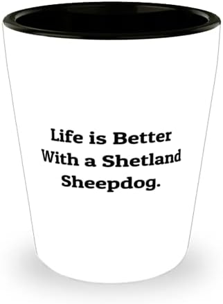 מבריק שטלנד רועים ירה זכוכית, חיים הוא טוב יותר עם שטלנד רועים, הווה עבור אוהבי חיות מחמד, נחמד מחברים