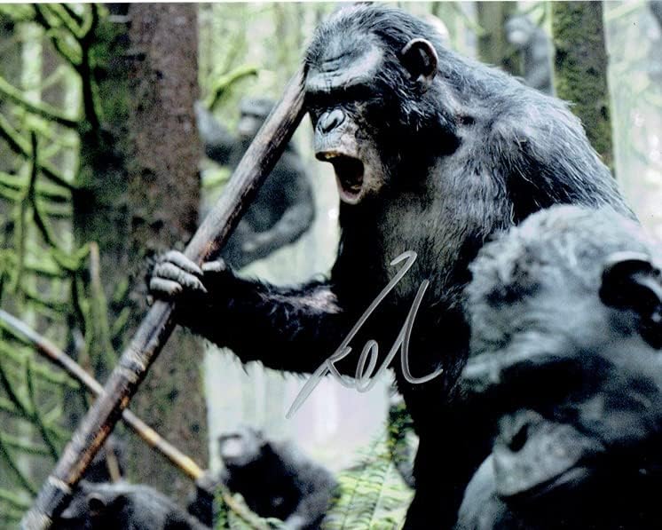 טובי קבבל - שחר כוכב הלכת של חתימת הקופים חתום 8x10