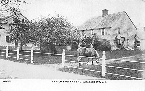 Amagansett, L.I., גלויה בניו יורק