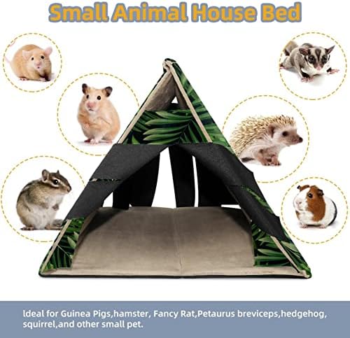 מיטת בית חזיר גינאה, ארנב מחבוא גדול, בעלי חיים קטנים קן קן בית גידול כלוב ירוק כהה עלים טרופיים כהים