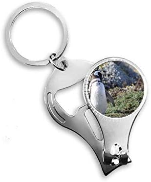 עמדו דרום פינגווין ספניסידאפורה ציפורניים טבעת ניפר טבעת מפתח בקבוקי שרשרת פותחן