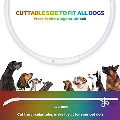 צווארון כלב הובל עם אור, innorca מתכוונן צווארונים אורות USB נטענים נטענים אורות כלבים נטענים נראות להליכה בלילה, בחוץ, קמפינג
