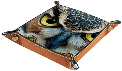 Lorvies Owl Eyes Cox Box Cube Cube Covers Callings for Office Home