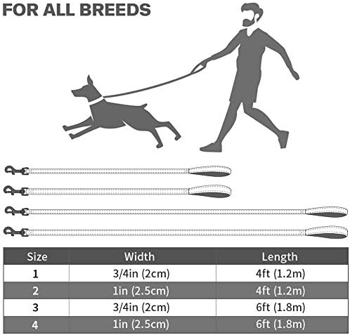 TAGLORY רפלקטיבית רצועת כלבים כבדה 3/4 ב x 4 רגל, ניאופרן ידית מרופדת ומרצועות אימוני חיות מחמד מתכת לכלבים גדולים בינוניים, שחור